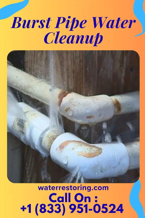 Burst Pipe Water Cleanup in Olmsted, IL