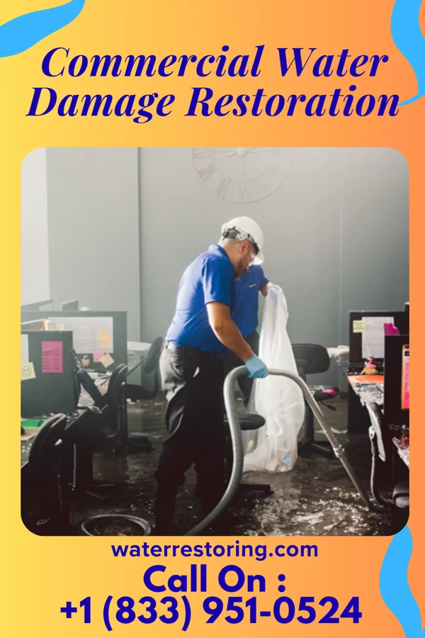 Commercial Water Damage Restoration in Olmsted, IL